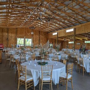 The Company Stables (